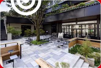 Shibuya 渋谷, les terrasses
